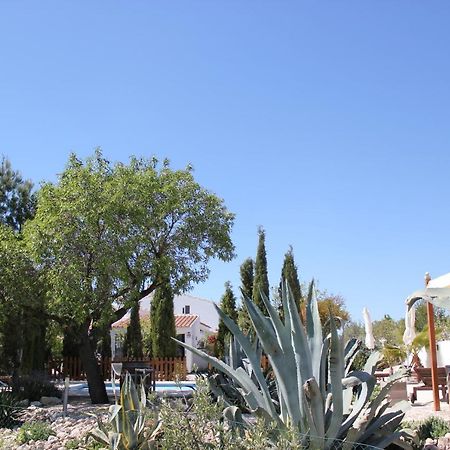 Vélez Rubio Luxe Bed & Breakfast Casa Paco المظهر الخارجي الصورة